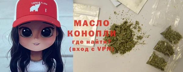 шишки Надым