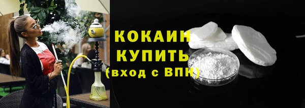 шишки Надым