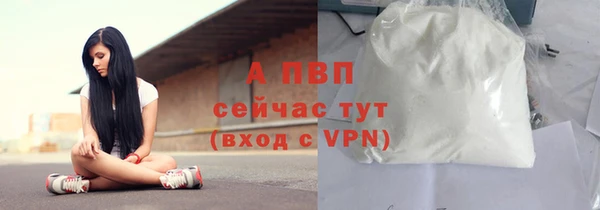 шишки Надым