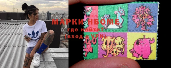 шишки Надым