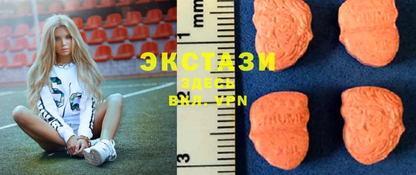 шишки Надым