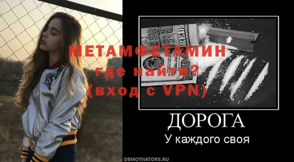 шишки Надым