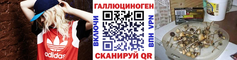 Галлюциногенные грибы Psilocybine cubensis  Мичуринск 